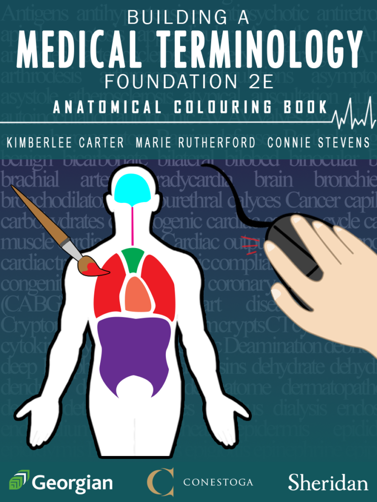 Building a Medical Terminology Foundation 2e: Anatomical Colouring Book cover art