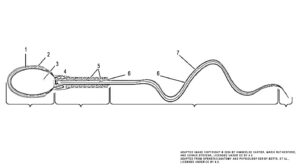 This illustration activity shows the structure of sperm; the major parts are labeled (from left to right): head section (acrosome, plasma membrane, nucleus), mid-piece (centriole, mitochondria, flagellum), tail (flagellum, axial filament), end piece (end piece).